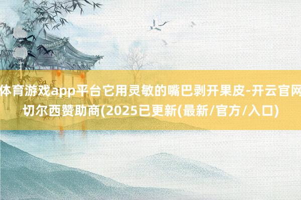 体育游戏app平台它用灵敏的嘴巴剥开果皮-开云官网切尔西赞助商(2025已更新(最新/官方/入口)