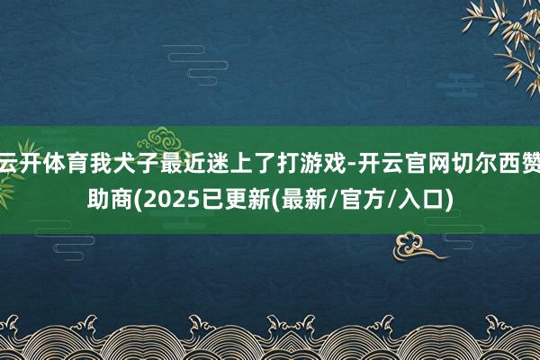 云开体育我犬子最近迷上了打游戏-开云官网切尔西赞助商(2025已更新(最新/官方/入口)