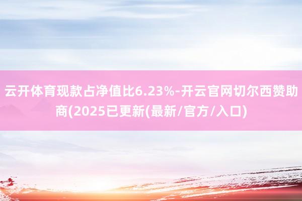 云开体育现款占净值比6.23%-开云官网切尔西赞助商(2025已更新(最新/官方/入口)
