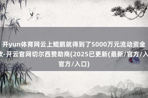 开yun体育网云上鲲鹏就得到了5000万元流动资金贷款-开云官网切尔西赞助商(2025已更新(最新/官方/入口)