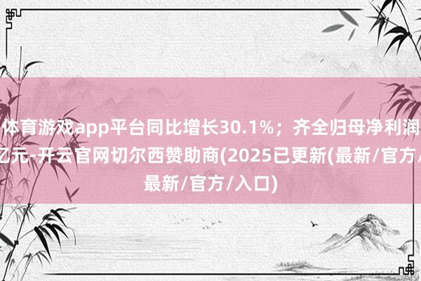 体育游戏app平台同比增长30.1%;齐全归母净利润1.69亿元-开云官网切尔西赞助商(2025已更新(最新/官方/入口)