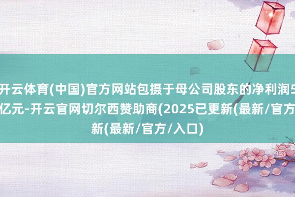 开云体育(中国)官方网站包摄于母公司股东的净利润506.12亿元-开云官网切尔西赞助商(2025已更新(最新/官方/入口)