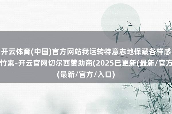 开云体育(中国)官方网站我运转特意志地保藏各样感兴味的竹素-开云官网切尔西赞助商(2025已更新(最新/官方/入口)